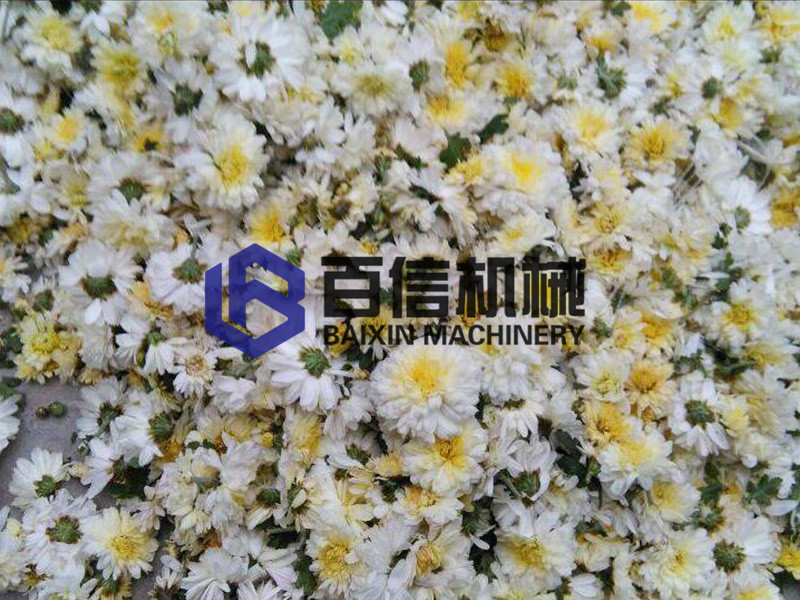 懷菊花烘干機(jī)在內(nèi)蒙古自治區(qū)的應(yīng)用：以品質(zhì)為基礎(chǔ)，以創(chuàng)新求發(fā)展！
